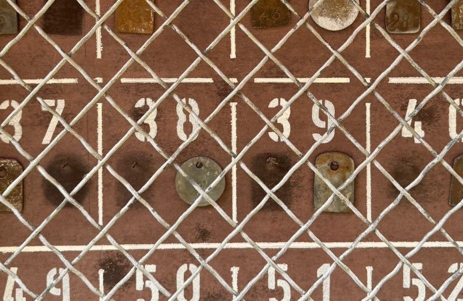 Miner dogmarks on display